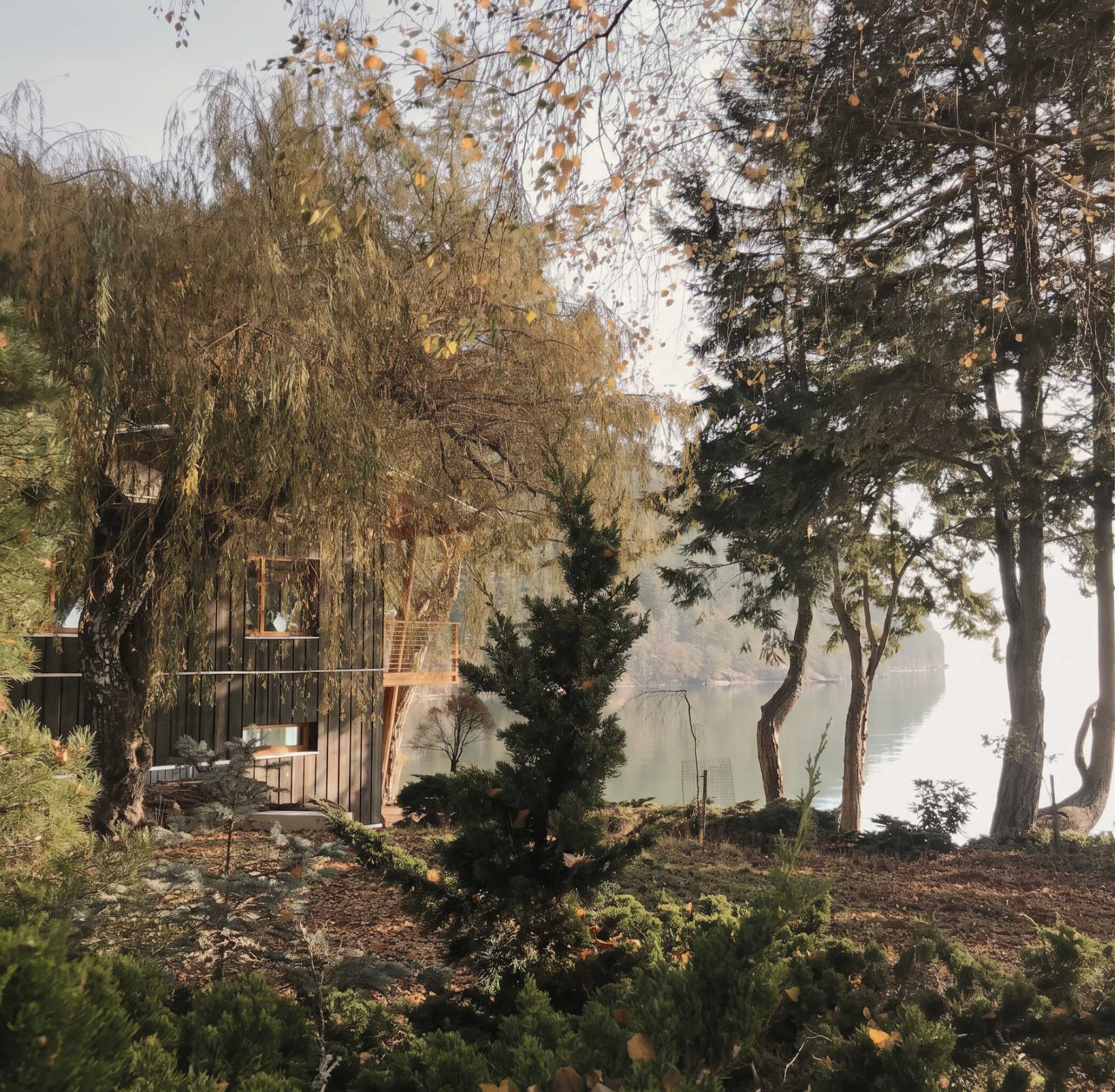 The Green Point Project
